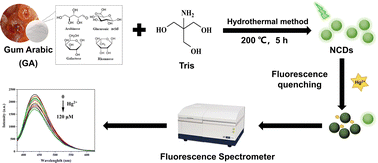 Graphical abstract: Nitrogen-doped carbon dots as a “turn-off” fluorescence probe for mercury(ii) detection and live cell imaging