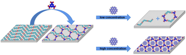 Graphical abstract: Scanning tunneling microscopy study of [1,1:3,1′′-terphenyl]-4,4′′-dicarboxylic acid on HOPG