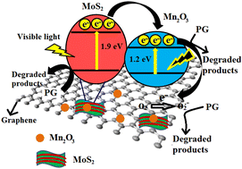 Graphical abstract: MOF-derived Mn2O3-decorated MoS2-graphene composite for visible light–assisted degradation of environmentally hazardous penicillin G in water