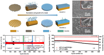 Graphical abstract: Constructing TiO2 nanotube arrays with oxygen vacancies on a Cu mesh to enable homogeneous Li deposition towards a long-life Li metal anode