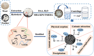 Graphical abstract: Keratin-derived sorbents for efficient removal of copper ions from aqueous solutions