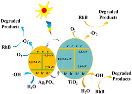Graphical abstract: Combination of alkali treatment and Ag3PO4 loading effectively improves the photocatalytic activity of TiO2 nanoflowers