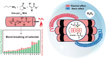 Graphical abstract: Selenol-ene chemistry-based one pot reaction for unsymmetric selenides synthesis and rate regulation of selenide oxidative elimination