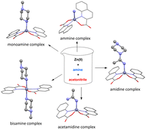 Graphical abstract: Piperidine and piperazine analogs in action: zinc(ii)-mediated formation of amidines