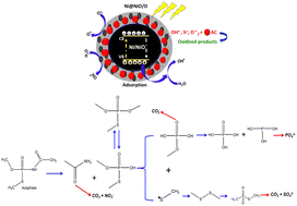 Graphical abstract: Enhancing the photocatalytic elimination of acephate residues using Ni0 doped and diatomite-supported NiO: optimization, pathway, and toxicity