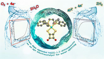 Graphical abstract: Insights into the supramolecular and molecular electrocatalytic properties of 1,2-bis(diphenylphosphine)ethane appended nickel(ii) 1,2-dithiosquarate for oxygen and hydrogen evolution reactions