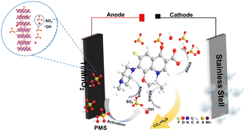 Graphical abstract: Insight into electrocatalytic activation of peroxymonosulfate by Ti/MnO2 anode via one-step electrodeposition approach toward degradation of levofloxacin
