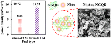 Graphical abstract: Nitrogen-doped graphene quantum dots as a support for Ni–Au nanoparticles: efficient electrocatalysts for ethanol and formate fuel cells using hydrogen peroxide as an oxidant