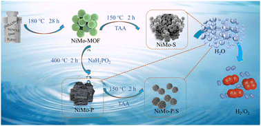 Graphical abstract: P-doped MOF-derived NiMo bimetallic sulfide used as a high efficiency electrocatalyst for oxygen evolution reaction
