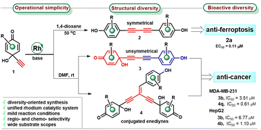 Graphical abstract: Rhodium-catalysed homo-coupling of terminal alkynes: divergent synthesis of bioactive 1,3-diynes and conjugated enediynes
