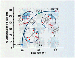 Graphical abstract: Fine tuning of pore size in metal–organic frameworks for superior removal of U(vi) from aqueous solution