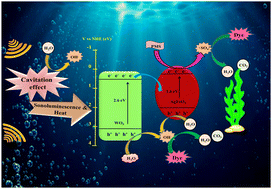 Graphical abstract: Preparation of a silver ferrite-assisted tungsten oxide nanocomposite for efficient sonocatalytic degradation of organic pollutants activated by PMS followed by toxicity evaluation