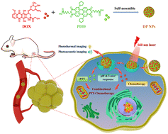 Graphical abstract: Supramolecular “all-in-one” nanodrug based on perylene diimide for dual-mode imaging guided PTT-chemotherapy