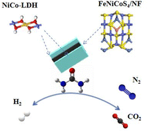 Graphical abstract: Modulating the electronic structure of ultra-thin NiCo-LDH by FeNiCoS4 for efficient electrocatalytic urea oxidation