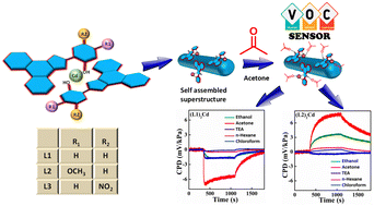 Graphical abstract: Self-assembled superstructures derived from suitably substituted phenanthro[9,10-d] imidazole-based Zn(ii)/Cd(ii) complexes for selective detection of acetone