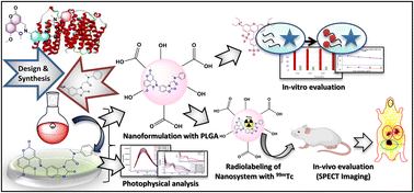 Graphical abstract: An 18 kDa TSPO specific ligand-based polymeric nanoformulation: synthesis, computational and biological studies