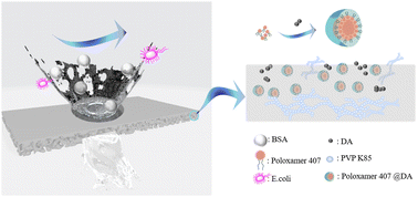 Graphical abstract: A high flux ultrafiltration membrane with a multi-hydrophilic particle additive and controlled self-assembly of micellar particles