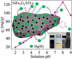 Graphical abstract: Efficient elimination of Hg(ii) from water bodies with acid-modified magnetic biomass spent tea leaves: conditional optimization and application