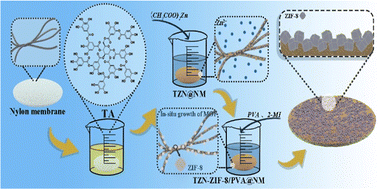 Graphical abstract: Tannic acid induced in situ growth of an underwater superoleophobic ZIF-8 composite membrane for emulsion separation