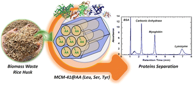 Graphical abstract: Direct pseudomorphic transformation of silica from rice husk into organo-functionalized MCM-41