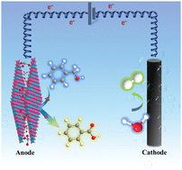 Graphical abstract: Synergistic effects of vanadium incorporation in cobalt-based LDH on electron and proton transfer during electrocatalytic benzyl alcohol oxidation