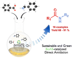 Graphical abstract: Boric acid-grafted biochar (BoAB) for the direct amidation of carboxylic acids and amines