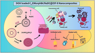 Graphical abstract: Metal organic framework coated vesicular nano-aggregates: an intelligent ‘vehicle’ for sustained and leakage proof release of doxorubicin