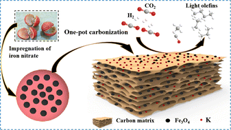 Graphical abstract: Preparation of Fe-based catalysts from waste biomass as a carbon carrier and its catalytic performance in CO2 hydrogenation