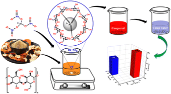 Graphical abstract: An investigation into the prospective applications of bio-catalyst metal frameworks: a novel catalyst for improved removal of Congo red from aqueous solutions