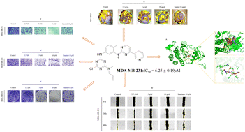 Graphical abstract: Design, synthesis and anticancer evaluation of imamine-1,3,5-triazine derivatives