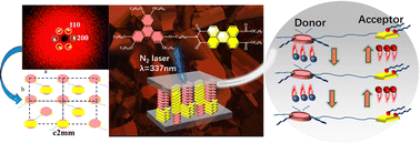 Graphical abstract: Optoelectronic properties of ambipolar transport triphenylene-perylene donor–acceptor discotic liquid crystals