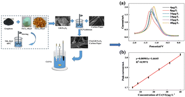 Graphical abstract: Chitosan-adhered graphene/nano iron tetroxide carbon paper electrode for the detection of hexavalent chromium