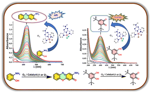 Graphical abstract: Triazine-based mononuclear copper(ii) cis-dichloro and dibromo complexes as functional biomimetic model systems for phenoxazinone synthase and catecholase activities