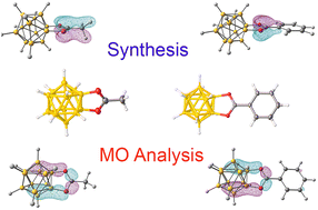 Graphical abstract: Carboxonium derivatives based on closo-dodecaborate anions [1,2-B12H10O2CR]−: synthesis and molecular orbital analysis