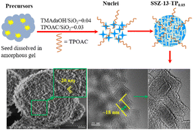 Graphical abstract: Seed-assisted synthesis of a nanosheet-assembled hierarchical SSZ-13 zeolite by coupling a small amount of TMAdaOH with TPOAC