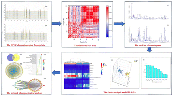 Graphical abstract: Quality differentiation of Epimedium from different harvesting periods based on LC-MS and network pharmacology