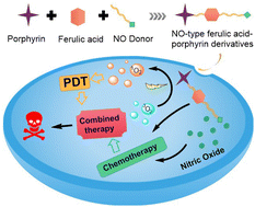 Graphical abstract: Design, synthesis and antitumor study of novel NO-type porphyrin–ferulic acid derivatives for chemotherapy and photodynamic therapy