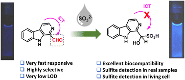 Graphical abstract: A Kumujian-C based highly selective fluorescence turn-on probe enables the detection of sulfite in real samples and living cells