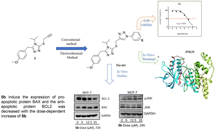 Graphical abstract: Synthesis of novel triazoles as anticancer agents targeting pJNK in human breast cancer cells