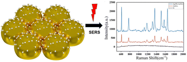 Graphical abstract: Templated gold nanocaps for surface-enhanced Raman scattering (SERS) sensors based on monolayer polystyrene colloidal arrays