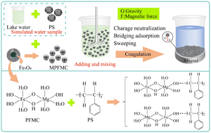 Graphical abstract: Magnetic polymeric ferric magnesium chloride: Fe species distribution, characterization and coagulation removal of microplastics in water