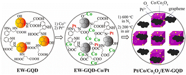 Graphical abstract: Graphene quantum dot surface ligand and Co and Pt double-doping-engineered Co/Co3O4 nanozyme displaying superior performance to horseradish peroxidase and choline oxidase for the efficient degradation of rhodamine B without an activator