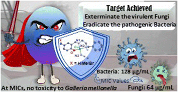 Graphical abstract: Investigation of the inherent characteristics of copper(ii) Schiff base complexes as antimicrobial agents