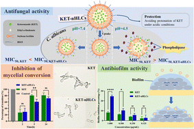 Graphical abstract: The inhibitory effect of ketoconazole-loaded nanostructure hybrid lipid capsules on the growth and biofilm activity of C. albicans