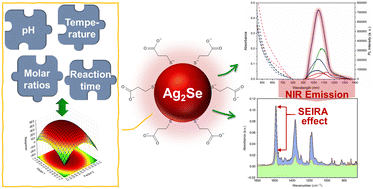 Graphical abstract: Enhancing the optical properties of hydrophilic Ag2Se NIR-II quantum dots by using chemometric approaches towards (bio)sensing applications