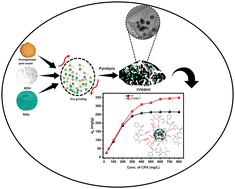 Graphical abstract: Single-step pyrolysis of biomass waste-derived activated carbon encapsulated zero-valent nickel NPs for the purification of antibiotic-contaminated water