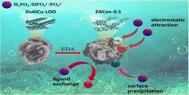 Graphical abstract: Ethylenediamine modified ZnAlCu-LDO with high adsorption for phosphate