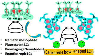 Graphical abstract: A novel approach to construct a calix[4]arene-appended rhodamine B-based supramolecular system for nematic mesophase and nematode cell imaging