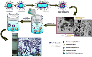 Graphical abstract: Comprehensive evaluation of non-conventional lanthanum phosphate nanospheres inside water-in-oil microemulsion scaffolds and their utilization in the assessment of surfactant-free TiO2-based Pickering emulsion formulations