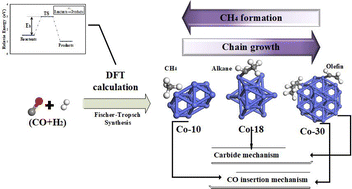 Graphical abstract: Determining the hydrocarbon chain growth pathway in Fischer–Tropsch synthesis through DFT calculations: impact of cobalt cluster size